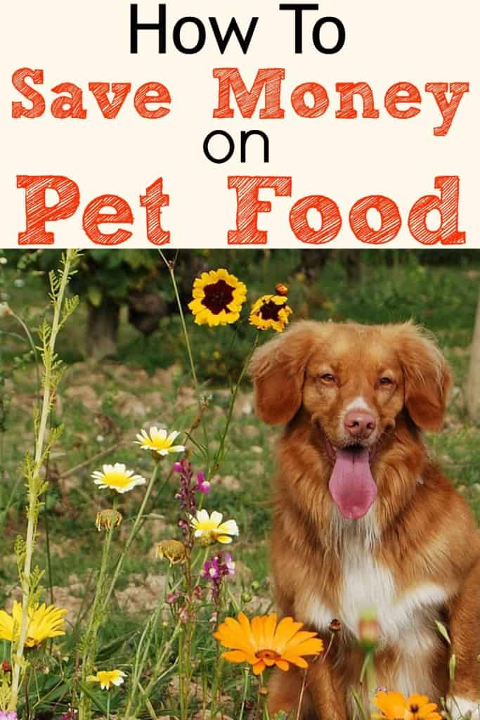 How To Save Money On Dog Food And Cat Food